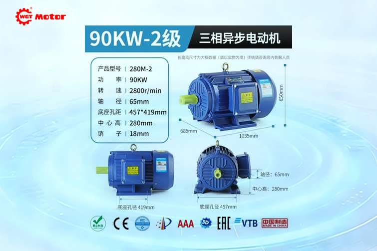 90KW 2-pole 2800rpm Drawings