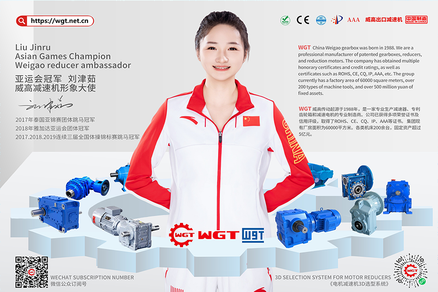 WGT Motor: A Comprehensive Guide to High-Performance Industrial Motors and Solutions