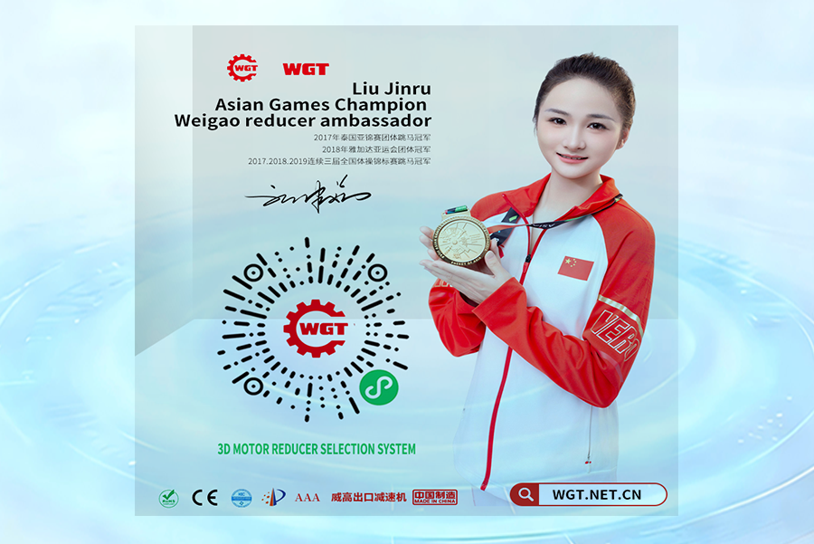 Weigao China: Your Premier Partner for Advanced Motor Solutions and Industrial Excellence