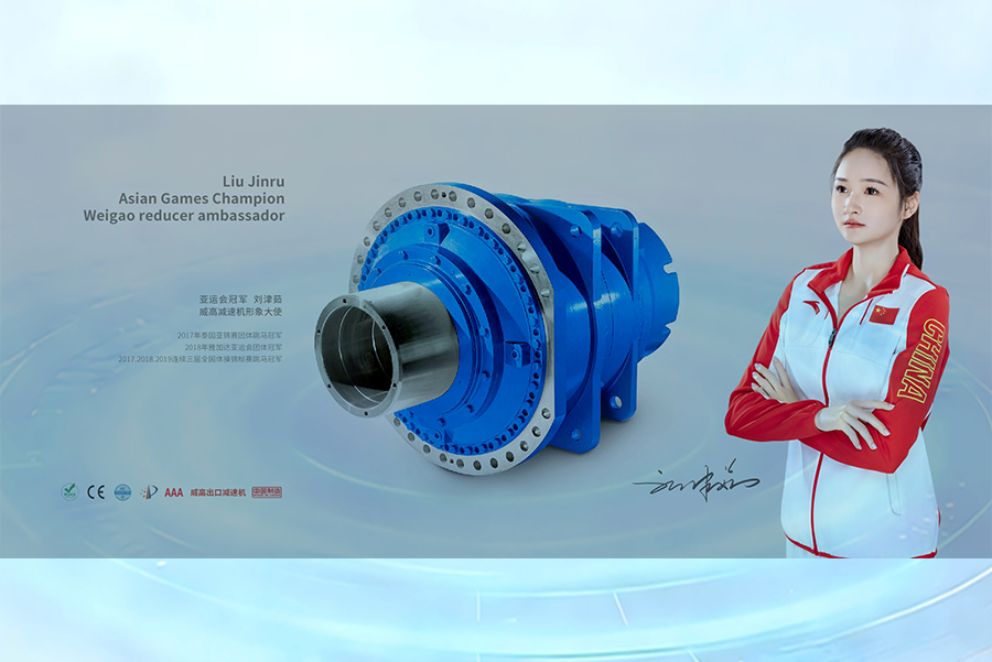 WGT Motor: The Comprehensive Guide to Advanced Motor Solutions from Weigao Electric (China)