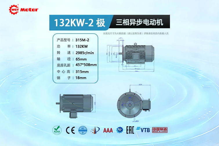 132KW 2-pole 2985rpm Drawings