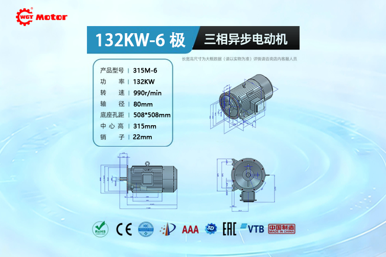 132KW 6-pole 990rpm Drawings