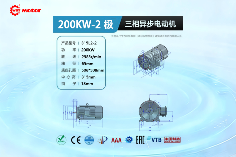 200KW 2-pole 2985rpm Drawings