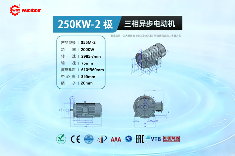 250KW 2-pole 2985rpm Drawings
