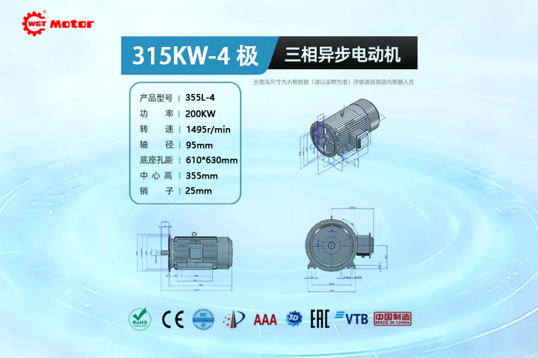 315KW 4-pole 1495rpm Drawings