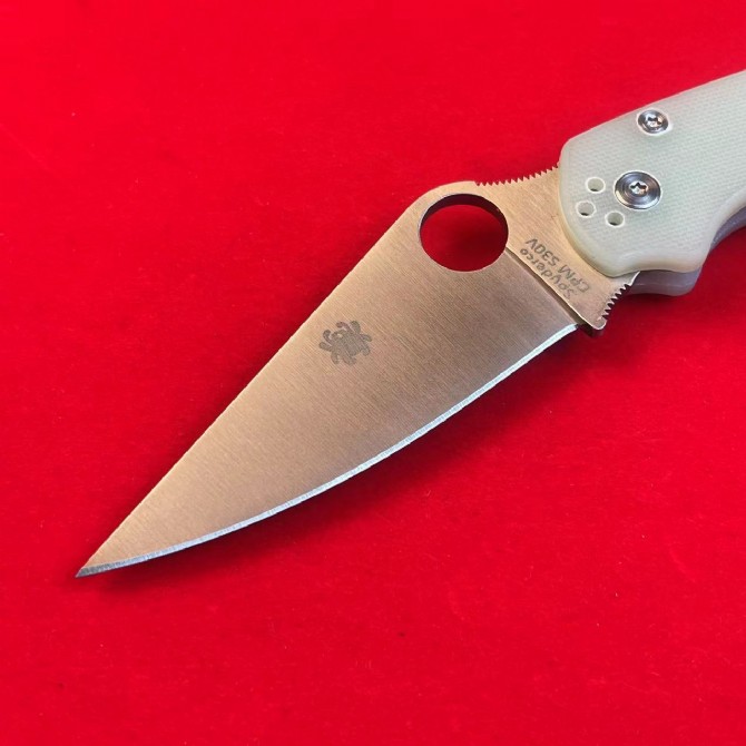 Spyderco C81 Bearing Folding Knife (Transparent G10 Handle)