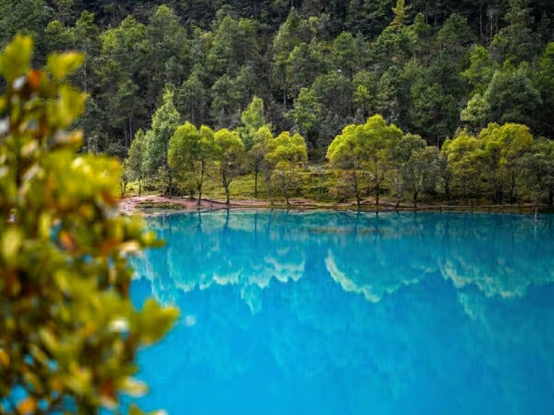 nature lake view