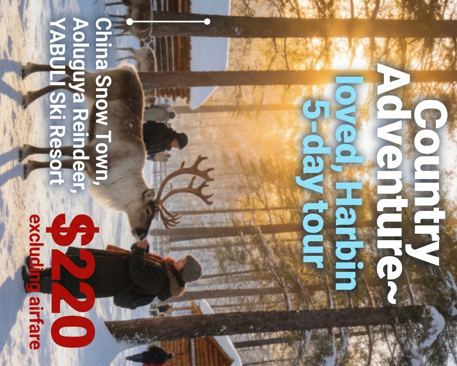 Snow Country Adventure-Joyful Adventure