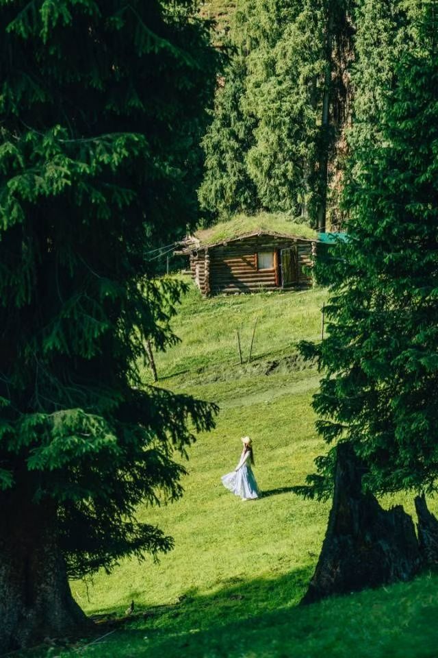 [Northern Xinjiang Tour] Classic 9-Day & 8-Night Kanas-Ili Connecting Tour