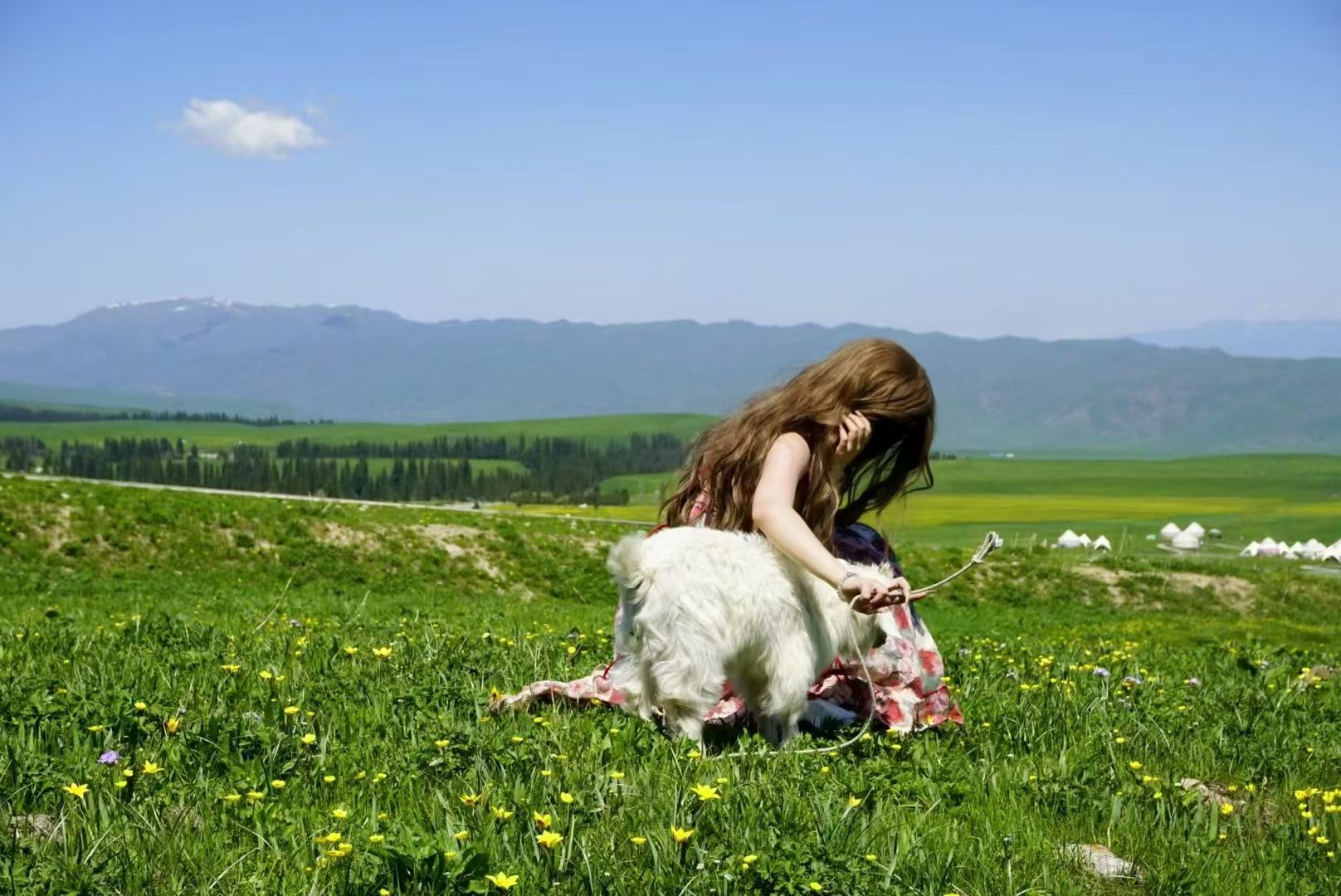 [Yili Blossom] 6-Day & 5-Night In-depth Tour of Yili, Departing from Yining