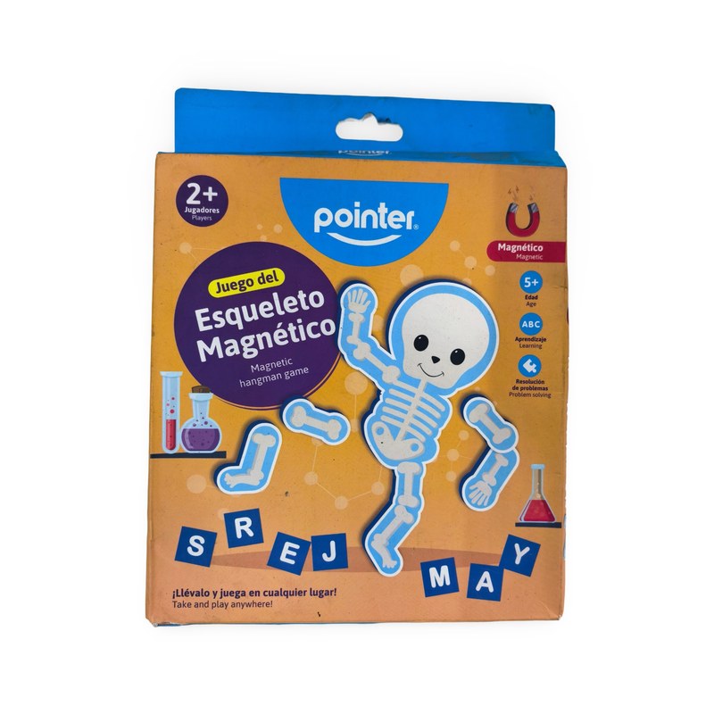 Custom Magnetic Skeleton Learning Puzzle